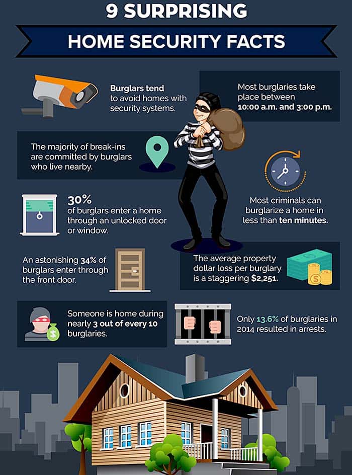 9 surprising Home security facts infograph